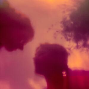 อัลบัม Never Seen Again ศิลปิน Mila Pichler