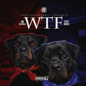 Listen to Wtf (Explicit) song with lyrics from Jim Blanka