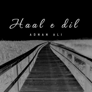 Adnan Ali的專輯Haal E Dil