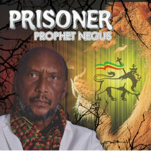 ดาวน์โหลดและฟังเพลง Stand Up พร้อมเนื้อเพลงจาก Prophet Negus