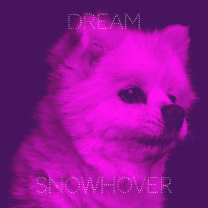 收听snowhover的Dream歌词歌曲