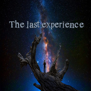 Album The Last Experience from Ketamane