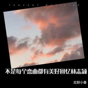 Album 不是每个恋曲都有美好回忆林志颖 from 宾阳小善