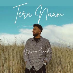อัลบัม Tera Naam (Explicit) ศิลปิน Sick tunne
