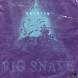 Listen to Wake Me Up (Explicit) song with lyrics from Medussa