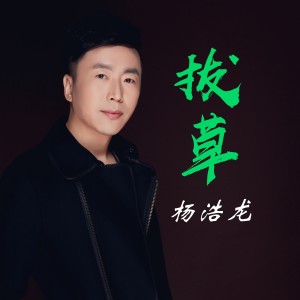 Album 拔草 from 杨浩龙