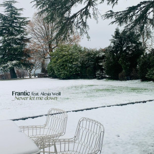 Listen to Never Let Me Down song with lyrics from Frantic