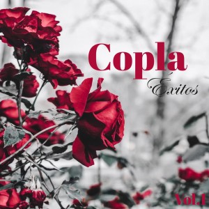 Listen to Carita de Ángel song with lyrics from Bonet De San Pedro