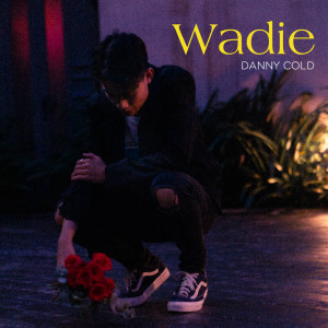 Album WADIE (Explicit) oleh DANNYCOLD