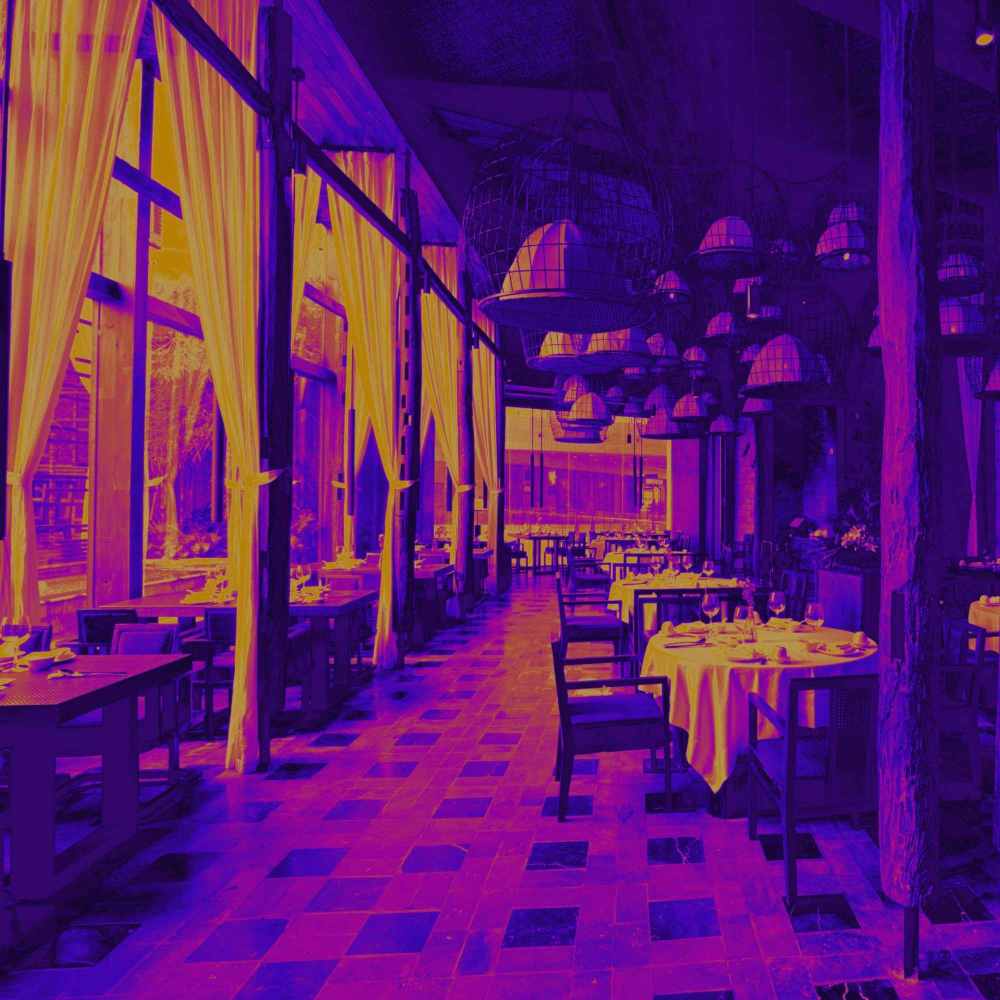 Modish Music for Fine Fusion