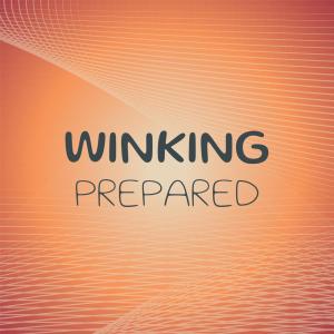 Various Artists的專輯Winking Prepared