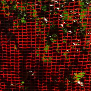 收聽AKA FETISH的Post-Bloom歌詞歌曲