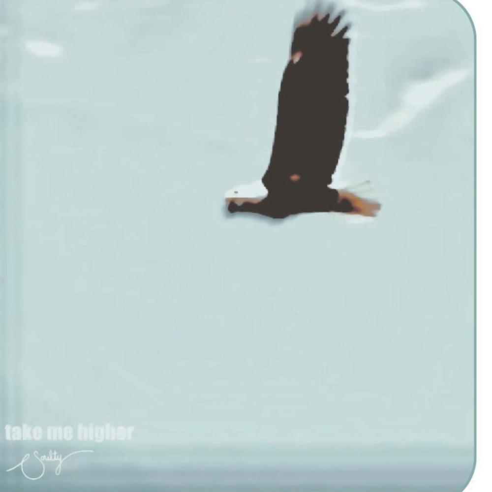 Take Me Higher
