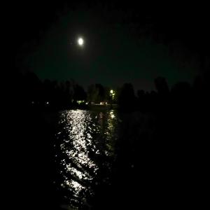 ดาวน์โหลดและฟังเพลง MIND OVER HAPPINESS! (feat. $iren) พร้อมเนื้อเพลงจาก Lil Dookie