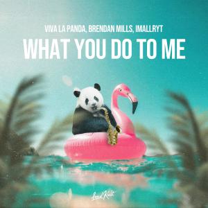 Viva La Panda的專輯What You Do to Me