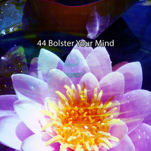 Album 44 Bolster Your Mind oleh Mindfulness Meditation Universe