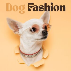Album Dog Fashion from 