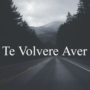 Album Te Volvere a Ver oleh Volver