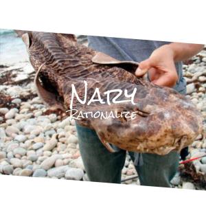 ดาวน์โหลดและฟังเพลง His Peeper พร้อมเนื้อเพลงจาก Dott Doon