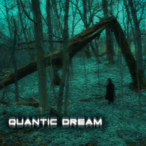 อัลบัม Quantic Dream ศิลปิน Sodium