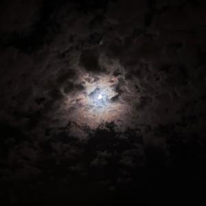 Sixto的專輯Razón (feat. Llorllelas) [Explicit]