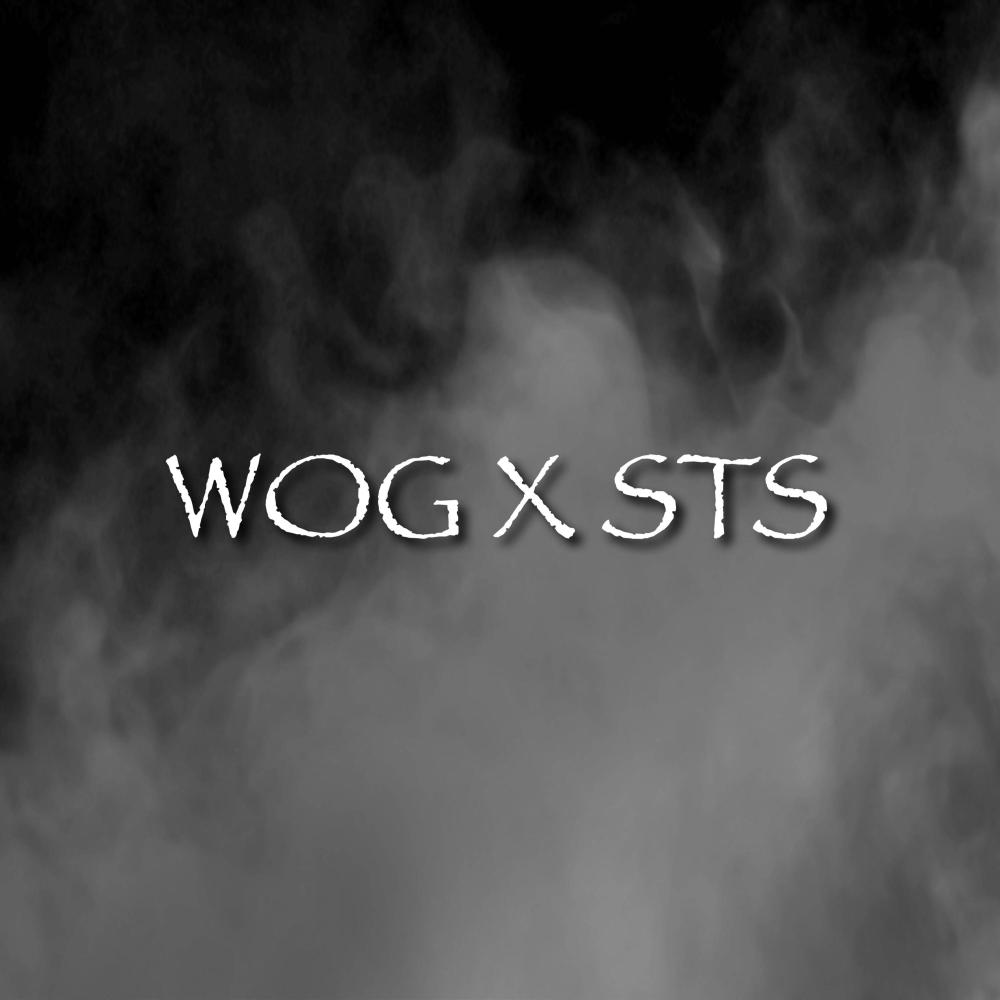 WOG X STS (feat. W.O.G Trey) (Explicit)