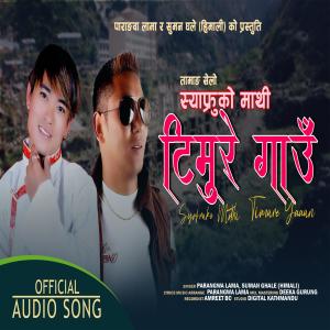 收聽Suman Ghale的Syafruko Mathi Timure Gau (feat. Parangwa Lama)歌詞歌曲