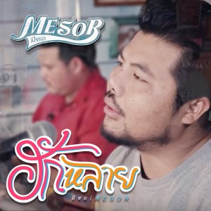 Listen to ฮักหลาย song with lyrics from มีซอ