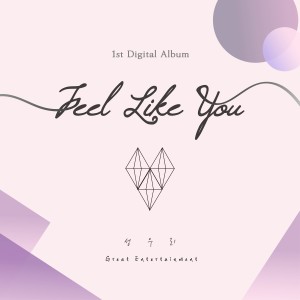 ดาวน์โหลดและฟังเพลง Feel Like You พร้อมเนื้อเพลงจาก Woori Sung 