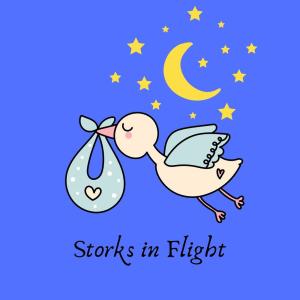 收听Jonta Lei的Storks in Flight歌词歌曲