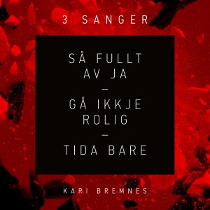 ดาวน์โหลดและฟังเพลง Gå ikkje rolig พร้อมเนื้อเพลงจาก Kari Bremnes