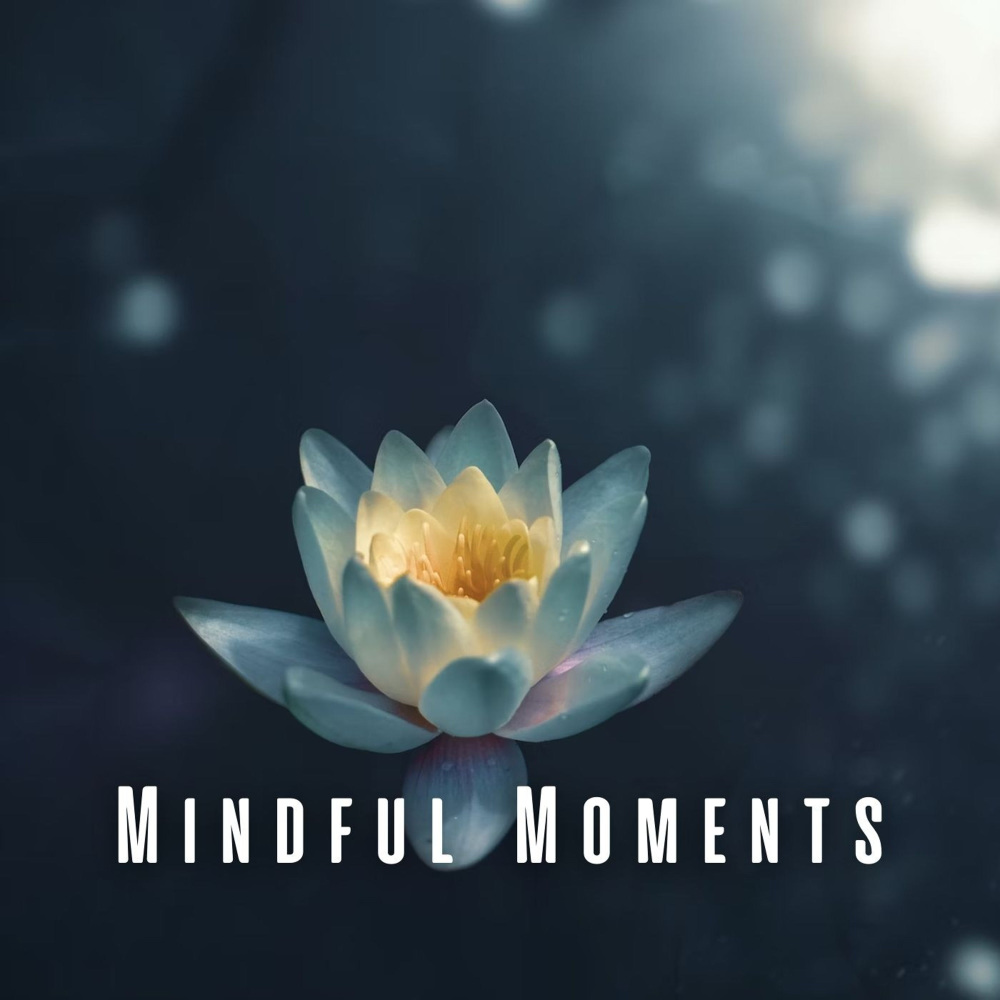 Transcendental Soundscape