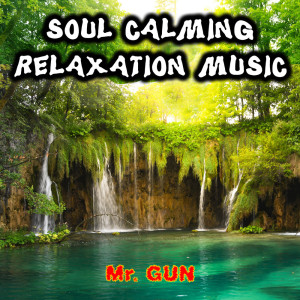 Album Soul Calming Relaxation Music from Mr. Gun