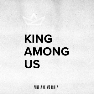 ดาวน์โหลดและฟังเพลง Sing Joy (Joy to the World) พร้อมเนื้อเพลงจาก Pinelake Worship