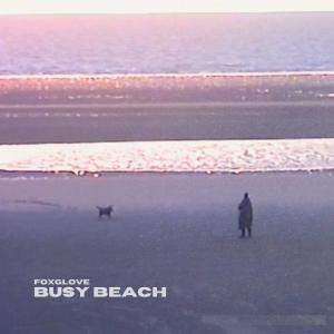 อัลบัม Busy Beach ศิลปิน Foxglove