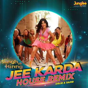 收聽Labha Jan Jua的Jee Karda (House Remix)歌詞歌曲