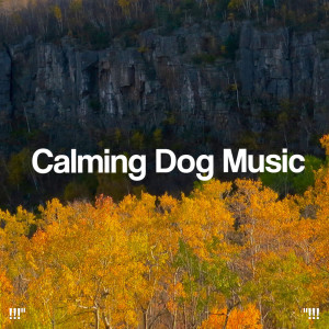 !!!" Calming Dog Music "!!!