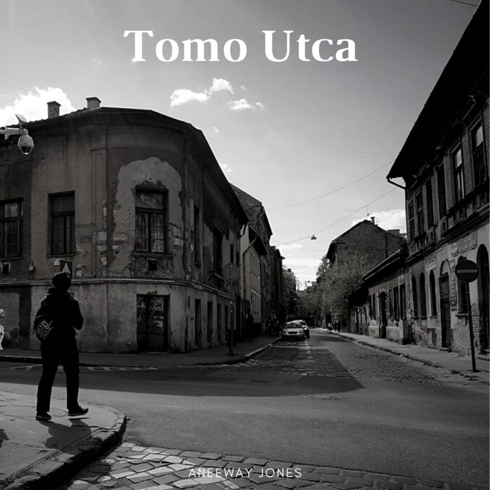 Street of tears (Tomo Utca)