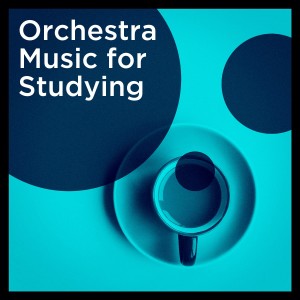 Various Artists的专辑Orchestra Music for Studying