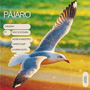 อัลบัม PÁJARO (feat. Ras Cocoman, Música Maestro, Hardycamp & La Gran Nota) ศิลปิน CaliaJah
