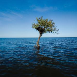 Listen to Spacious song with lyrics from Ornndinary