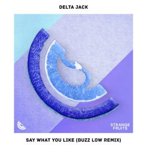 Listen to Say What You Like (Buzz Low Remix) song with lyrics from Delta Jack