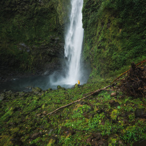 Listen to Solitude song with lyrics from Nature Sounds Nature Music