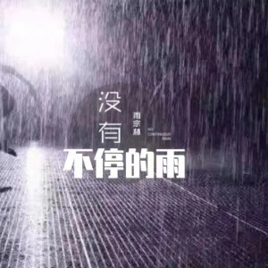 Album 没有不停的雨 from 雨宗林