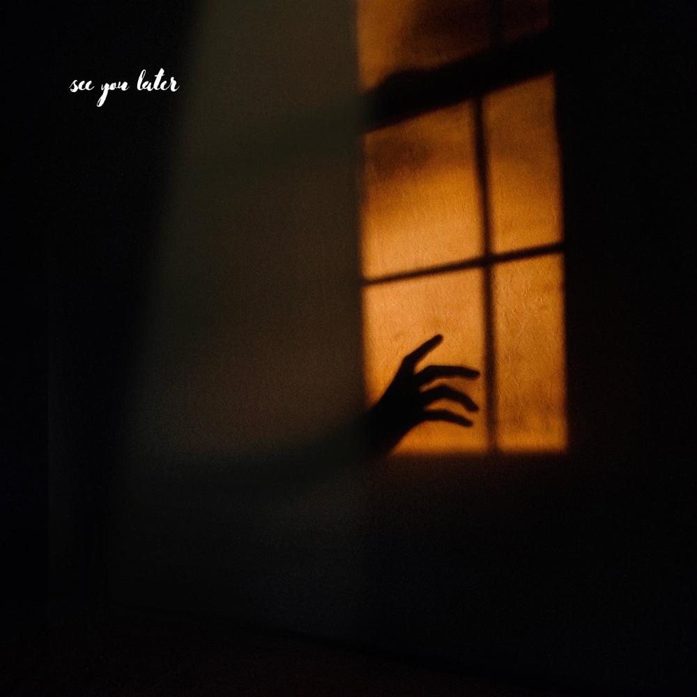 see you later (feat. Fecony) (Explicit)