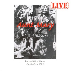 ดาวน์โหลดและฟังเพลง I Wish I Could พร้อมเนื้อเพลงจาก Aunt Mary