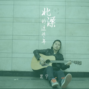 Listen to 北漂的这些年 song with lyrics from 沈宁