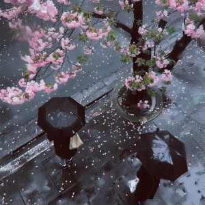 Listen to 前面还有好长的路要走 (DJ版) song with lyrics from DJ文成remix