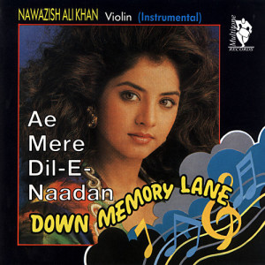 อัลบัม Down Memory Lane - Ae Mere Dil -E- Naadan ศิลปิน The Bollywood Instrumental Band