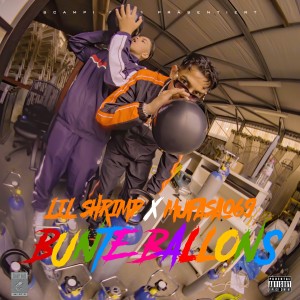 ดาวน์โหลดและฟังเพลง Bunte Ballons พร้อมเนื้อเพลงจาก Lil Shrimp